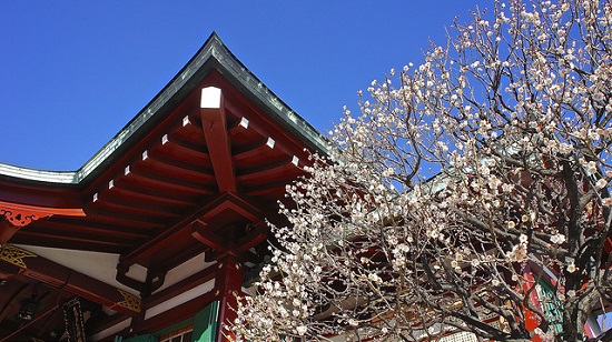 Festival Ume di Kameido Tenjin