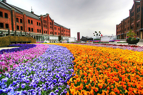 Festival bunga di Yokohama Akarenga Soko