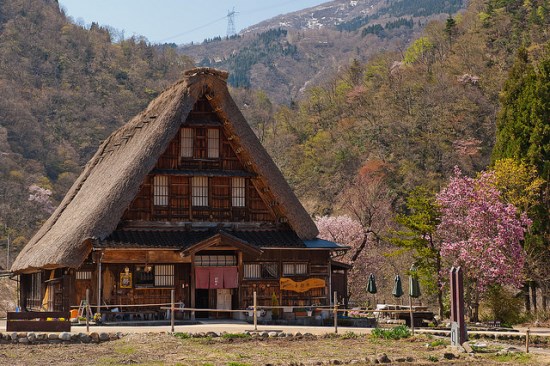 Gokayama dan bunga sakura di musim semi