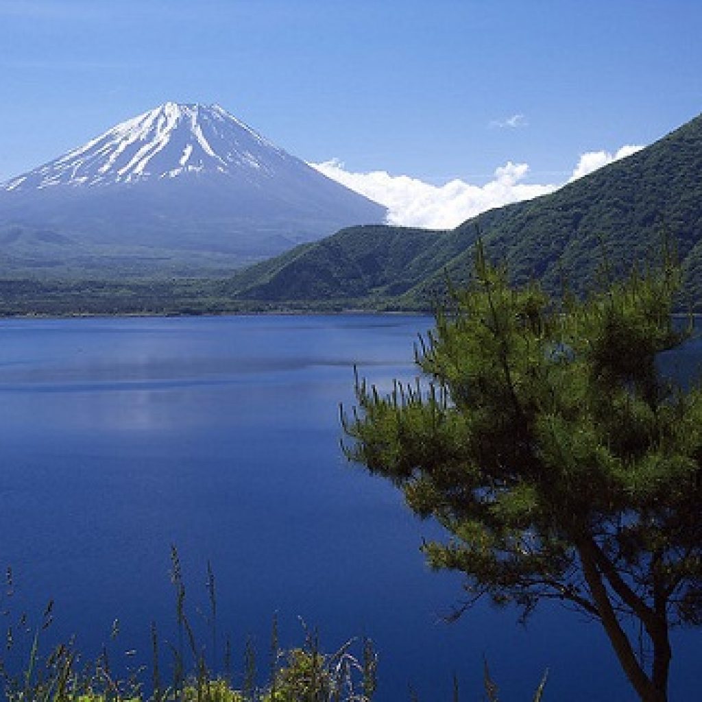 Tips Pergi ke Gunung Fuji Info Liburan dan Wisata di Jepang