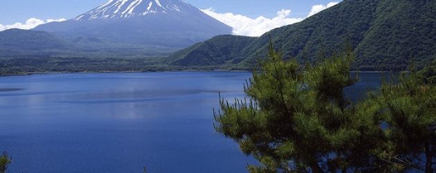 Keliling Objek Wisata Fuji Kawaguchiko dengan Mt Fuji Pass
