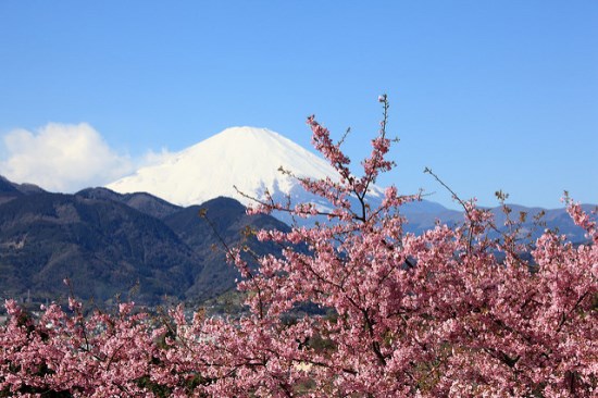 Gunung Fuji dari Matsuda