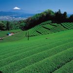 Gunung Fuji dari Nihondaira Shizuoka