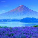 Gunung Fuji dari Taman Yagisaki di Kawaguchiko