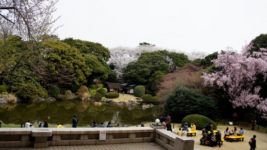 Halaman Tokyo National Museum