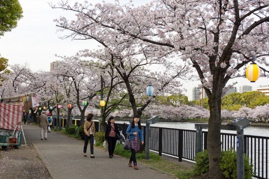 Hanami bunga sakura di Kema Sakuranomiya