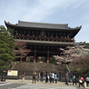 Hanami sakura di Chionin Temple