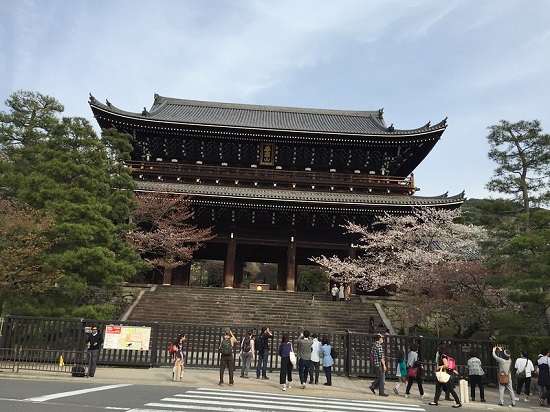 Hanami sakura di Chionin Temple