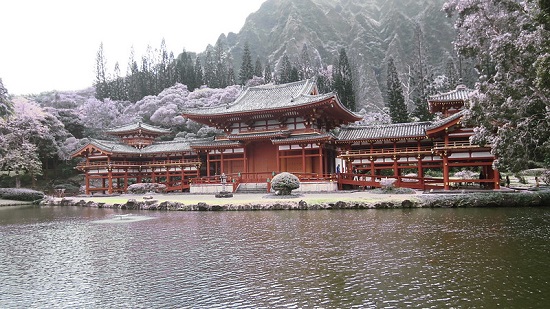 Hanami sakura di Kuil Byodoin Kyoto