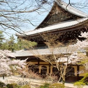 Hanami sakura di Nanzenji Temple