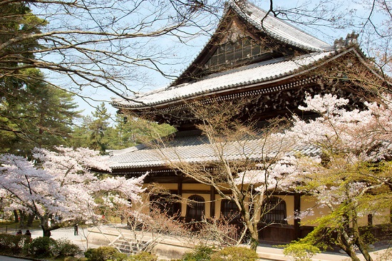Hanami sakura di Nanzenji Temple