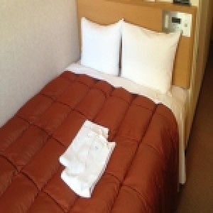 Hotel Sardonyx Ueno