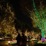 Iluminasi Musim Dingin di Shinjuku Tokyo