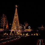 Iluminasi Natal di Taman Ashikaga Tochigi