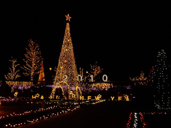 Iluminasi Natal di Taman Ashikaga Tochigi