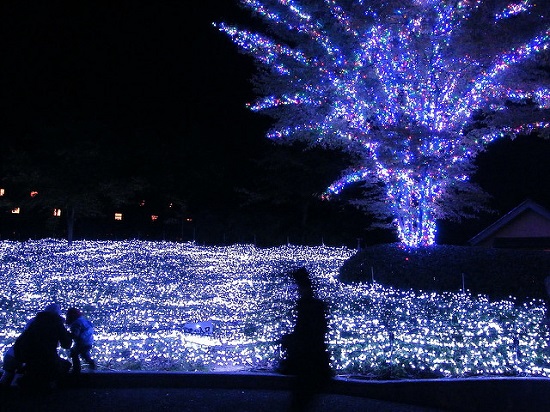 Iluminasi di Nabana no Sato