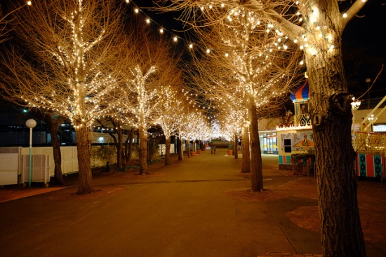 Iluminasi di Taman Bermain Toshimaen