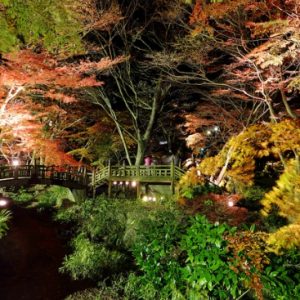 Iluminasi malam di Atami Plum Garden