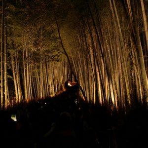 arashiyama hanatouro indahnya