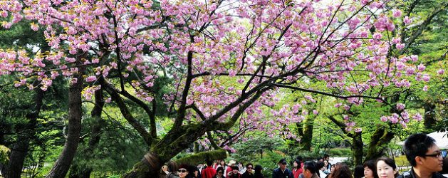 Info Wisata di Kanazawa - Info Liburan dan Wisata di Jepang