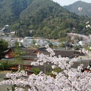Itsukushima Shrine sewaktu Miyajima Sakura 2020