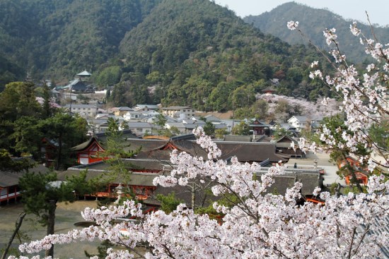 Itsukushima Shrine sewaktu Miyajima Sakura 2020