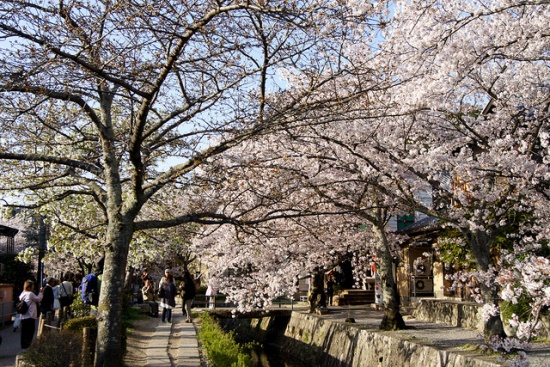 Jalan Tetsugaku no Michi waktu Liburan di Kyoto