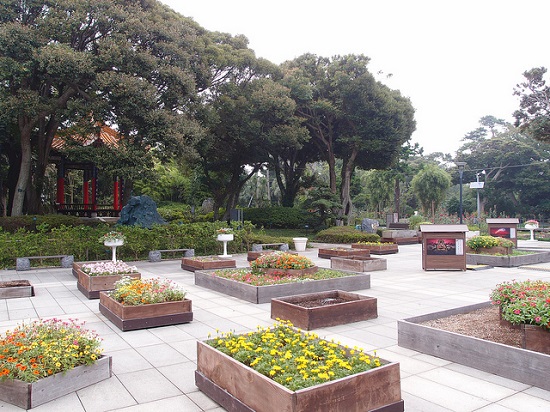 Jalan-jalan ke Taman Samuel Cocking di Enoshima