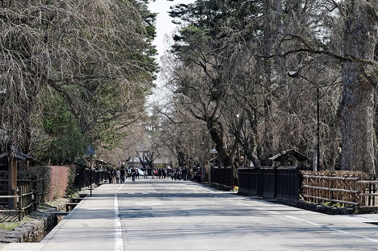 Jalanan utama Kakunodate saat musim semi