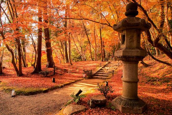 Karpet momiji di kompleks Kuil Daigoji Kyoto