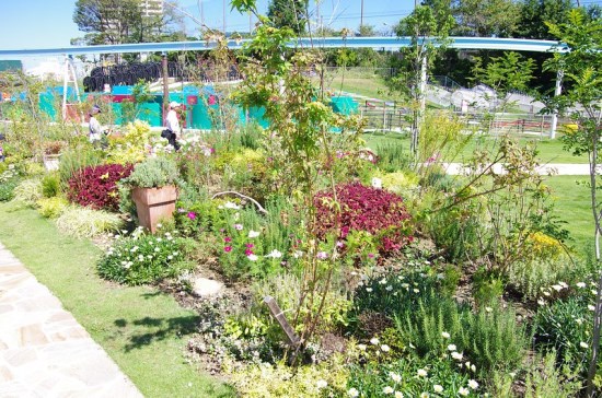 Kebun Bunga di Kashiikaen Amusement Park