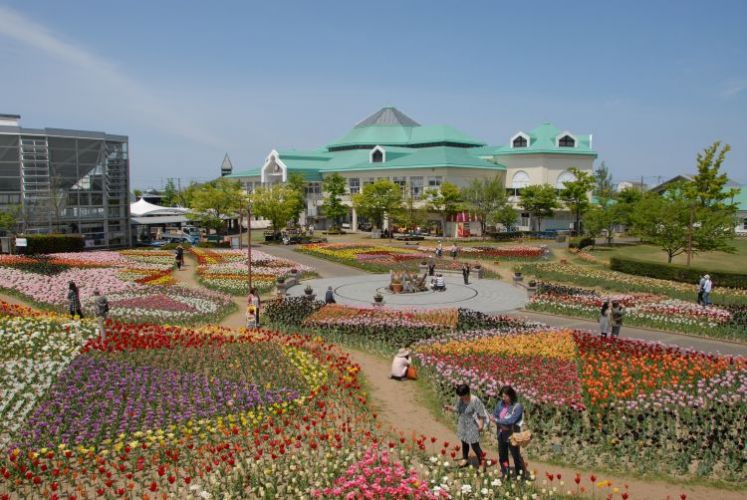 Kebun bunga Niigata Furusato Village