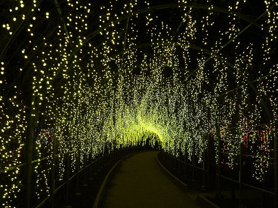 Keindahan Iluminasi Taman Ashikaga Tochigi