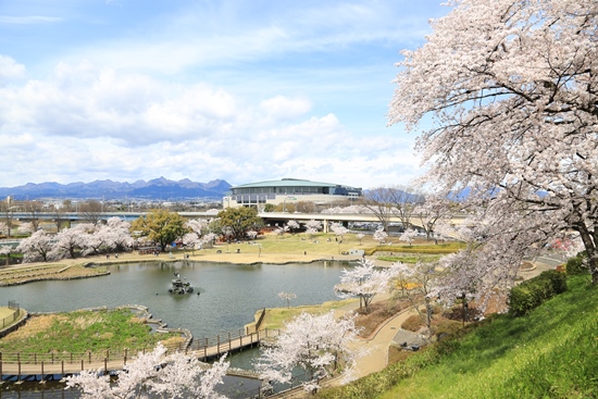 Keindahan Maebashi Park di musim semi
