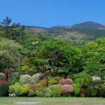 Keindahan Taman Horaien di musim panas