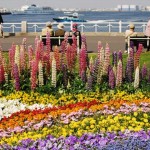 Keindahan Yamashita Park di Yokohama