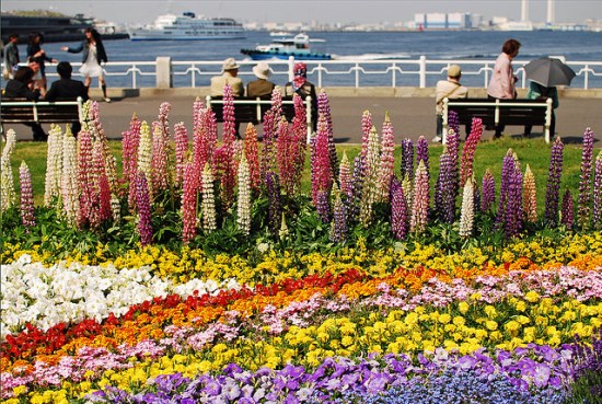 Keindahan Yamashita Park di Yokohama