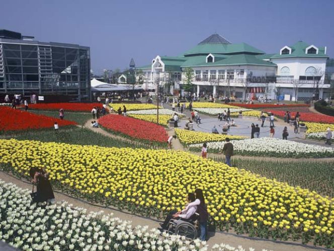 Keindahan bunga Niigata Furusato Village