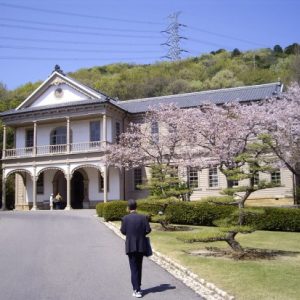 Keindahan bunga sakura di Meiji Mura Sakura 2020