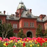 Keindahan bunga tulip di Former Hokkaido Government Office