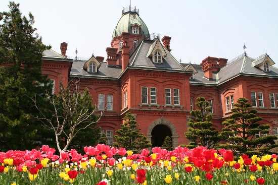 Keindahan bunga tulip di Former Hokkaido Government Office