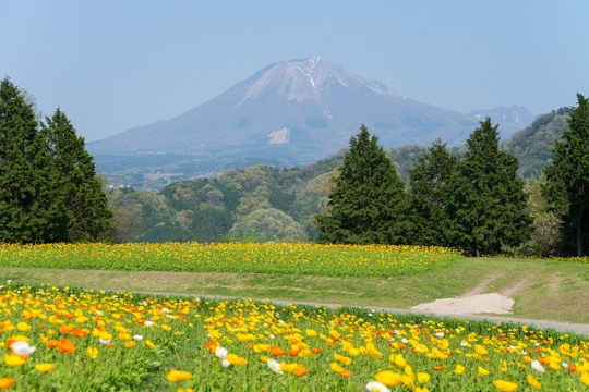 Keindahan kebun bunga Tottori Hanakairo