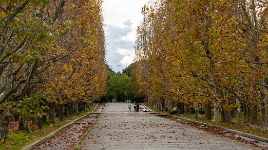 Keindahan momiji di Bampaku Kinen Koen