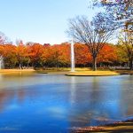 Keindahan momiji di Taman Yoyogi