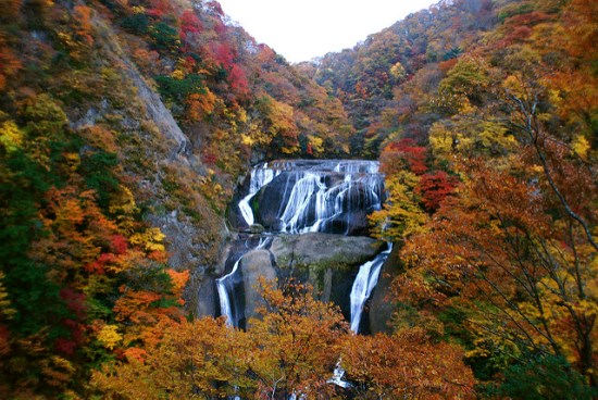 Keindahan musim gugur di Air Terjun Fukuroda