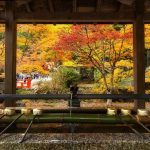 Keindahan musim gugur di Gunung Koya Wakayama