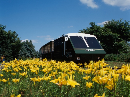 Kereta lady train di Sapporo Yurigahara Park