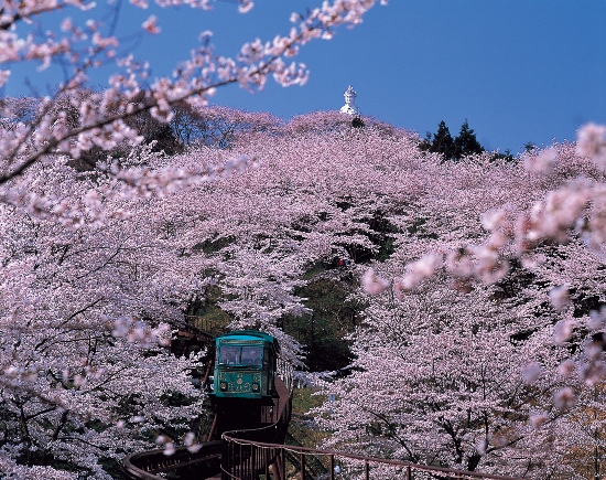 Kereta mini di Funaoka Castle Park dan Patung Budha