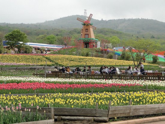 Kincir angin di Taman Bunga Grinpa