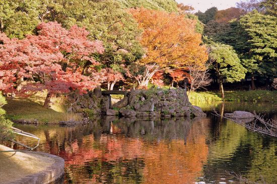 Koishikawa Korakuen at fall